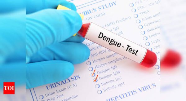 Dengue Test